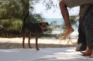 4th Water and Land Contact Festival in Thailand by Katya Malakhovskaya