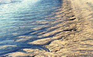 5th Water and Land Contact Festival in Thailand by Hannah Krafcik