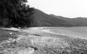 5th Water and Land Contact Festival in Thailand by Hannah Krafcik