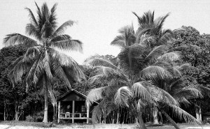 5th Water and Land Contact Festival in Thailand by Hannah Krafcik